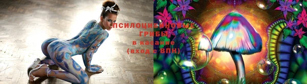 твердый Богородск
