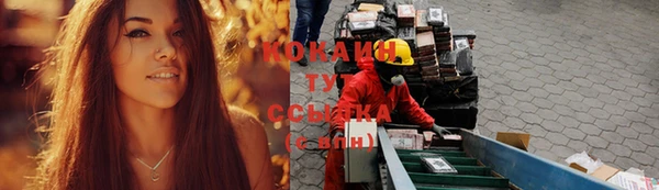 твердый Богородск