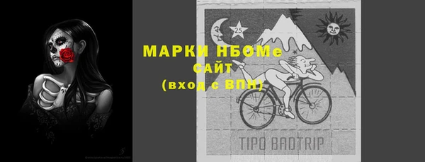 твердый Богородск
