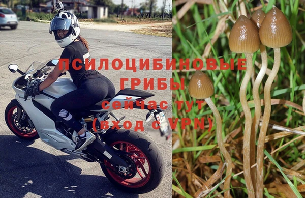 синтетический гашиш Переславль-Залесский