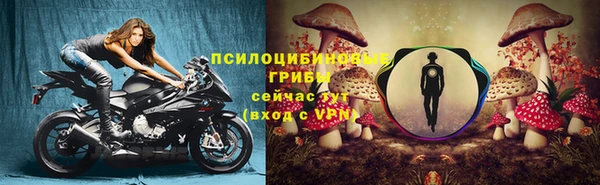 COCAINE Богданович