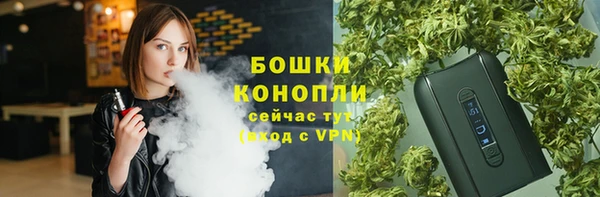 spice Балахна