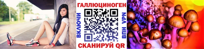сколько стоит  darknet клад  Псилоцибиновые грибы Psilocybine cubensis  Бородино 